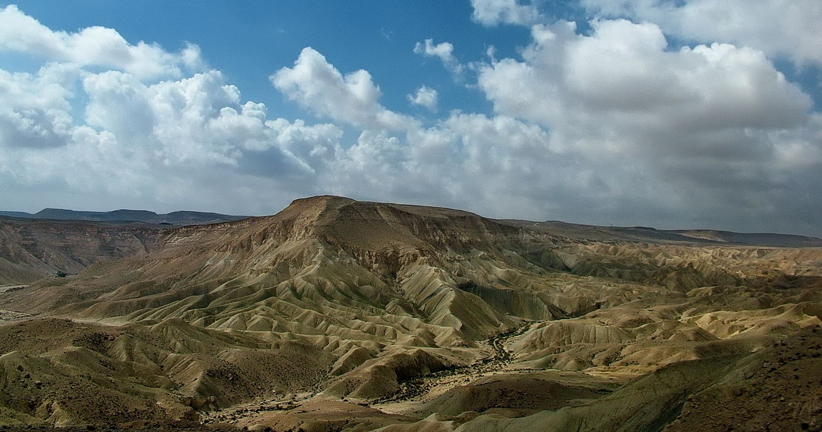 Пустыня Негев.Эйн-Авдат.Март