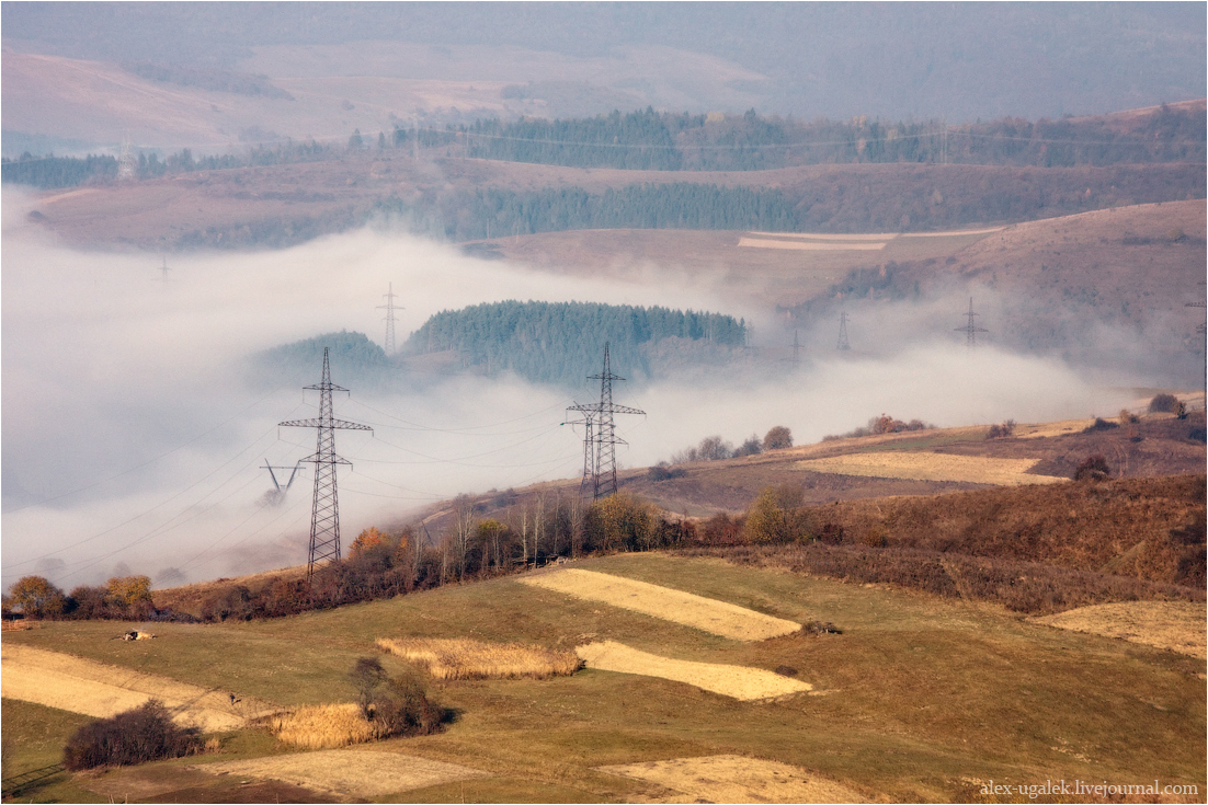 ..........Осенний змий.........