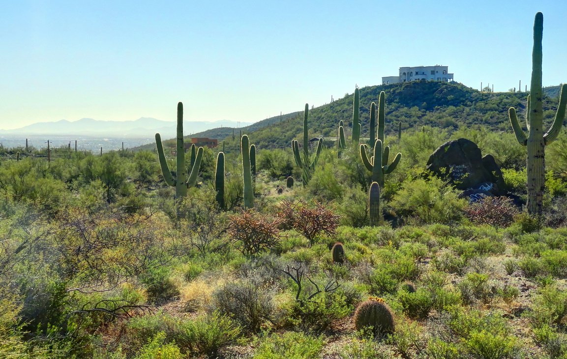 пустыня, март, рассвет...