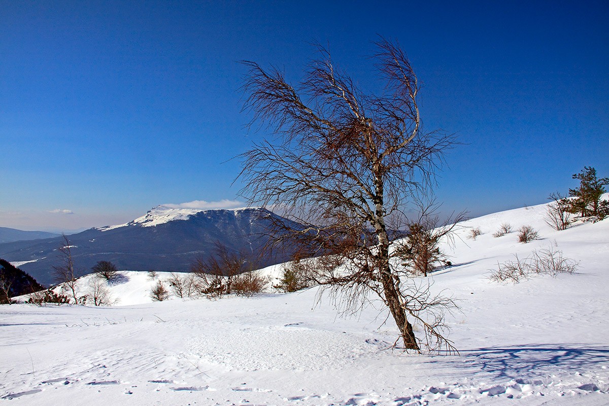 Заблудившаяся в горах