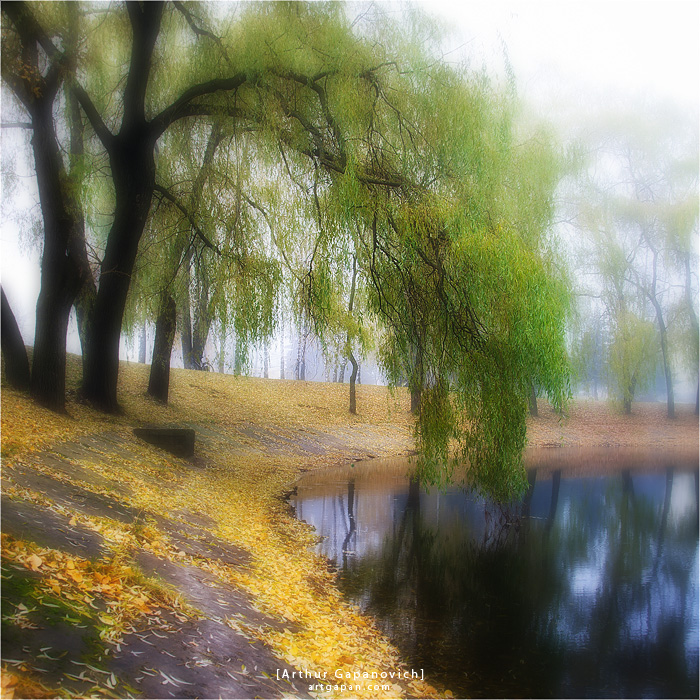 [ Мухля ] *Минск