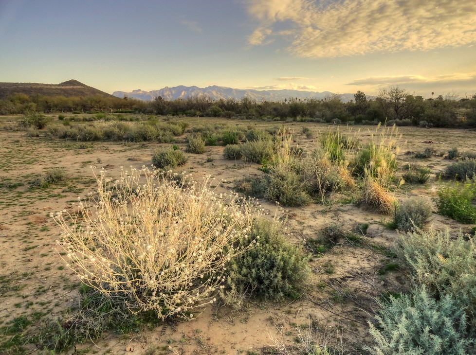 пустыня, первый утренний свет..