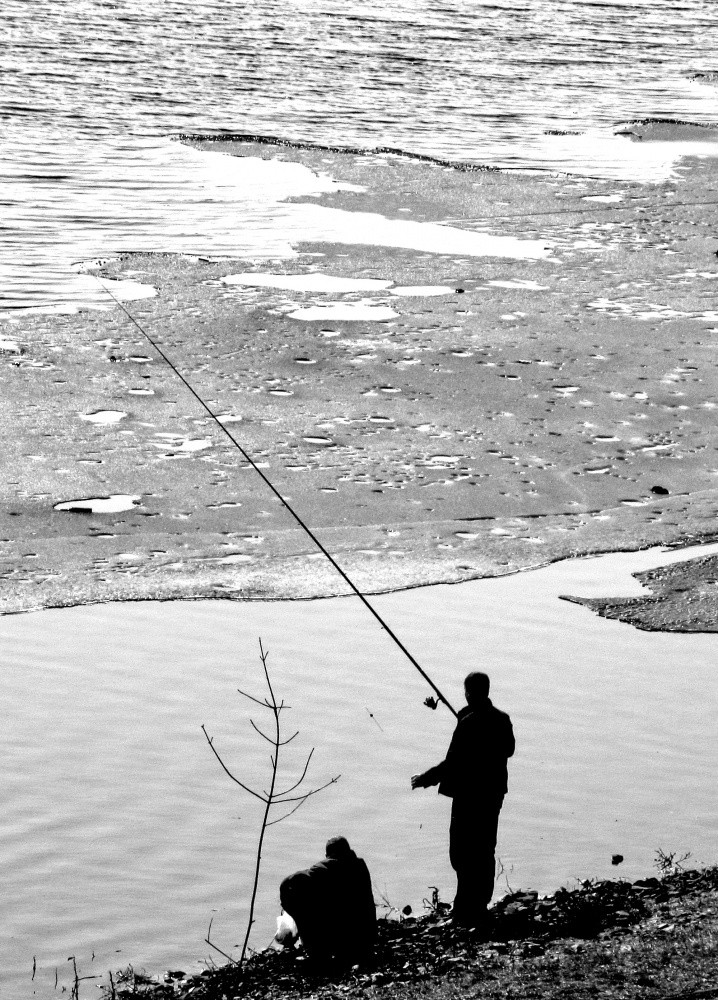 на червечка