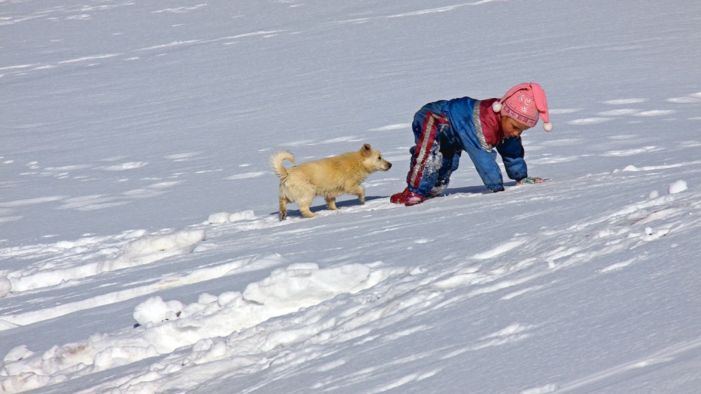 Нас не догонят