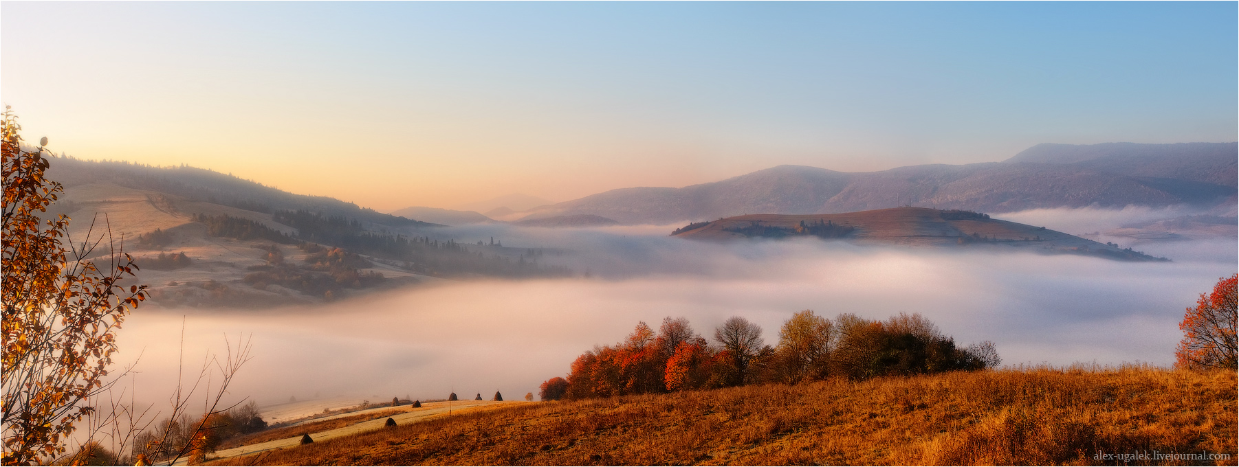 .........Enjoy The Silence.........