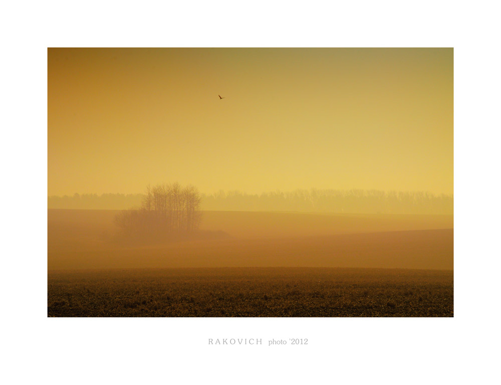 Оранжевый Туман...