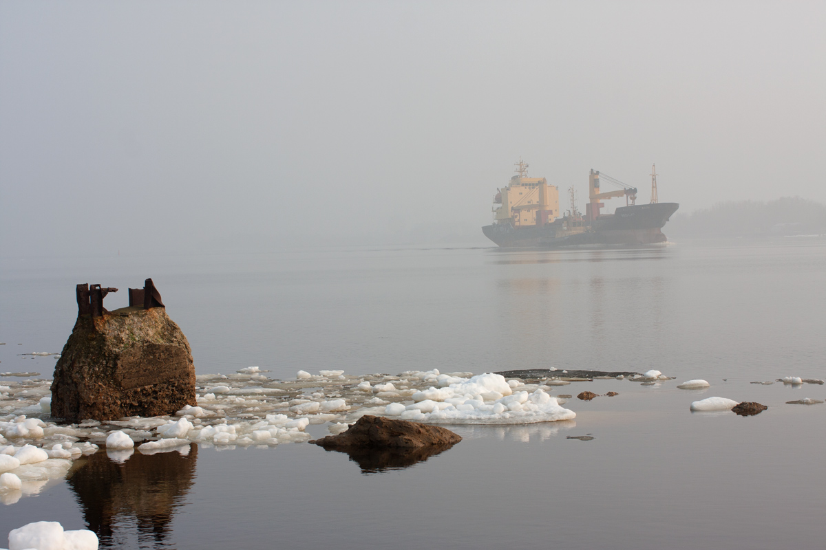 Выходя из тумана