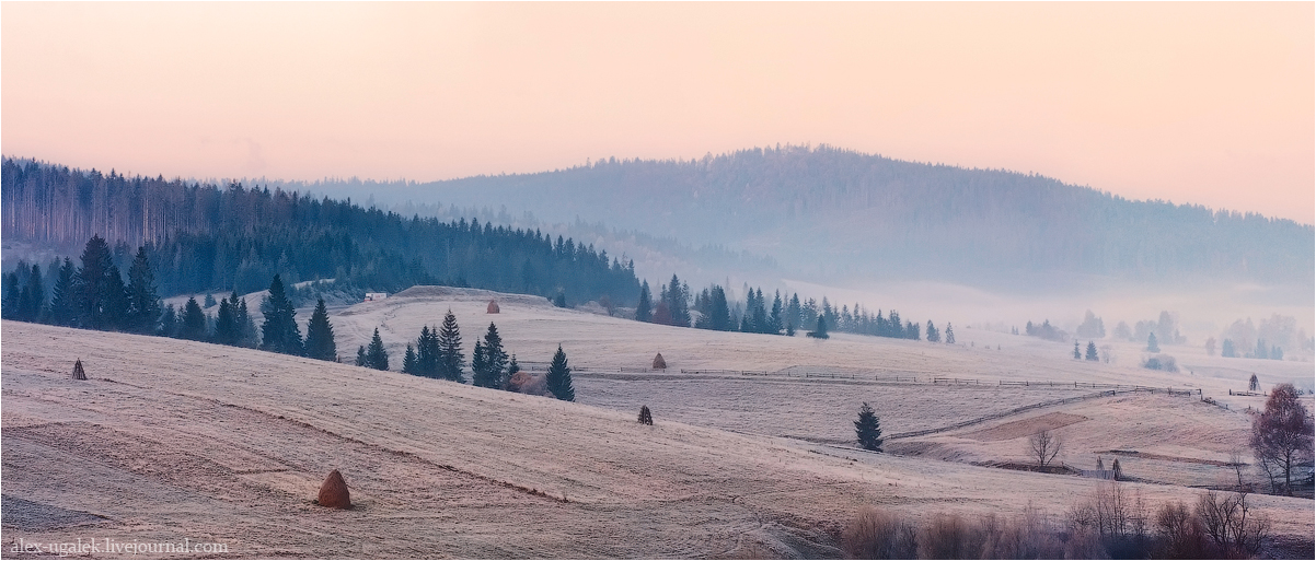 ........Спокойное утро........