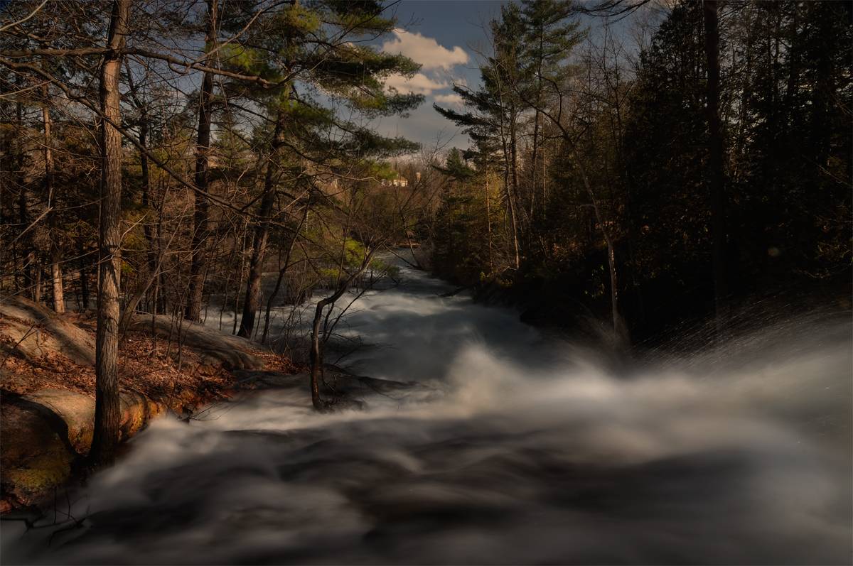 ...бегут ручьи