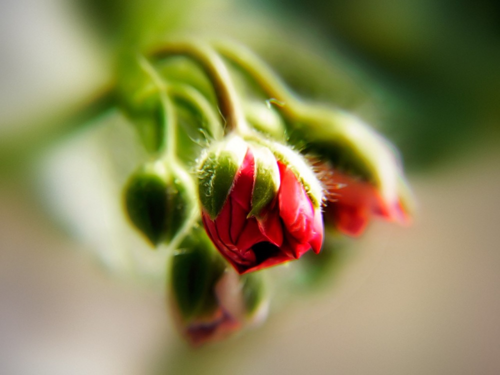 и я проснулся весной