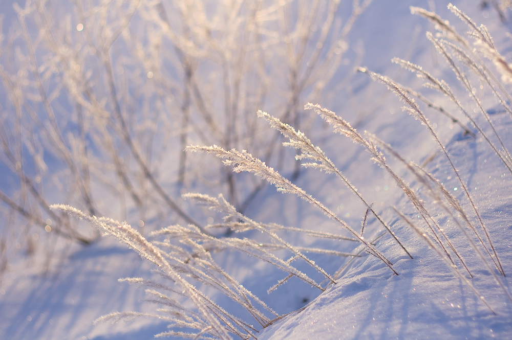 Встречая новый день