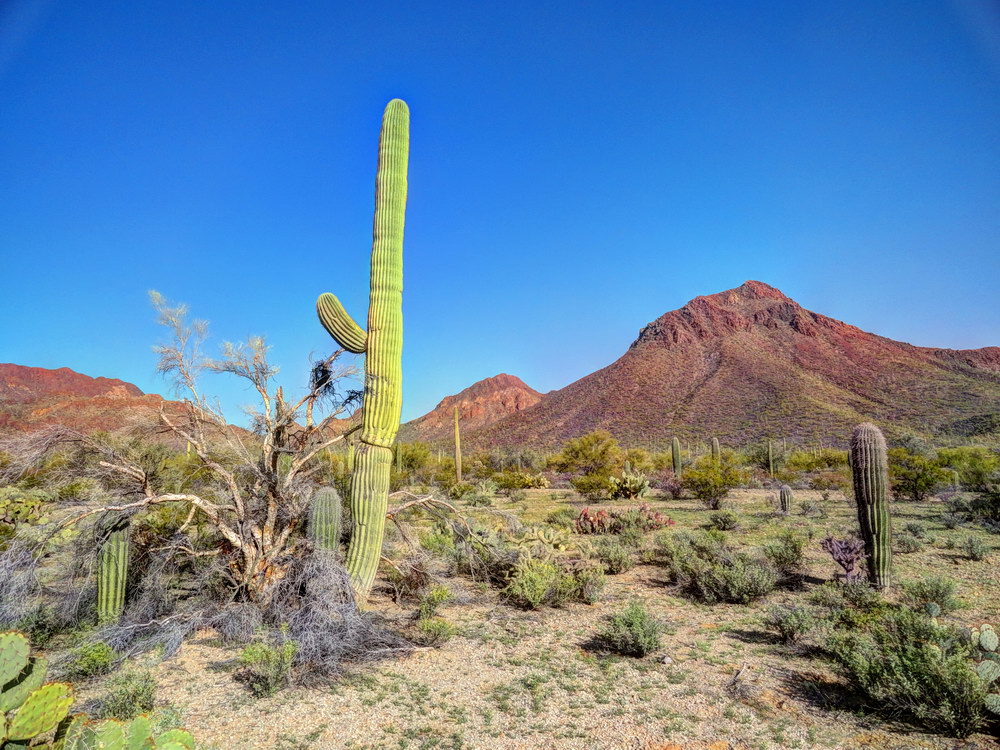 над всей Аризоной безоблачное небо..