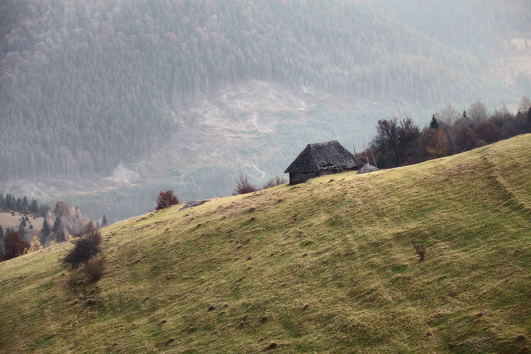 Косогор и избушка