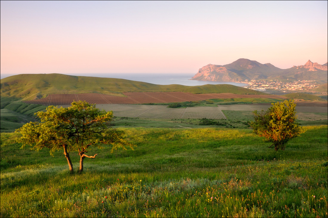 Крымская зарисовка