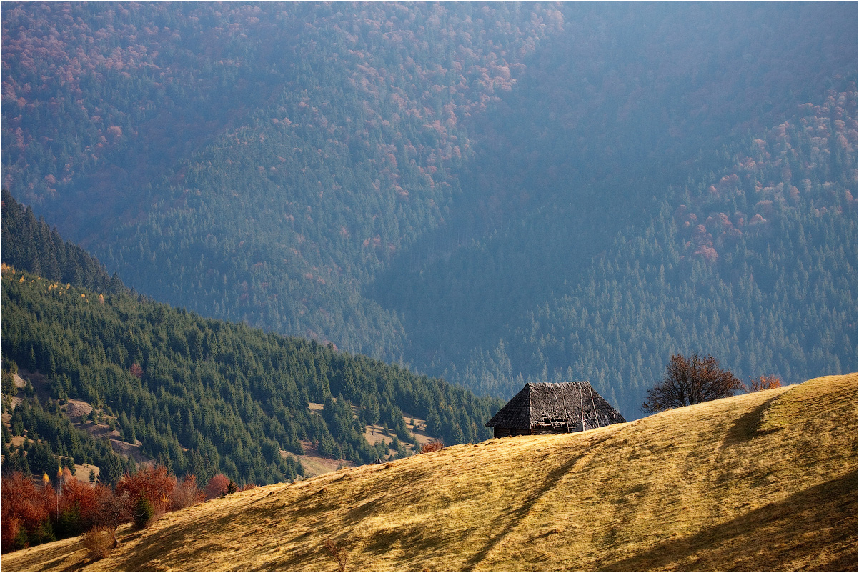 ........Уединение........