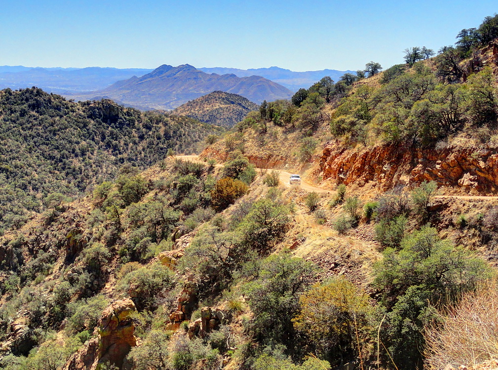в горах Аризоны