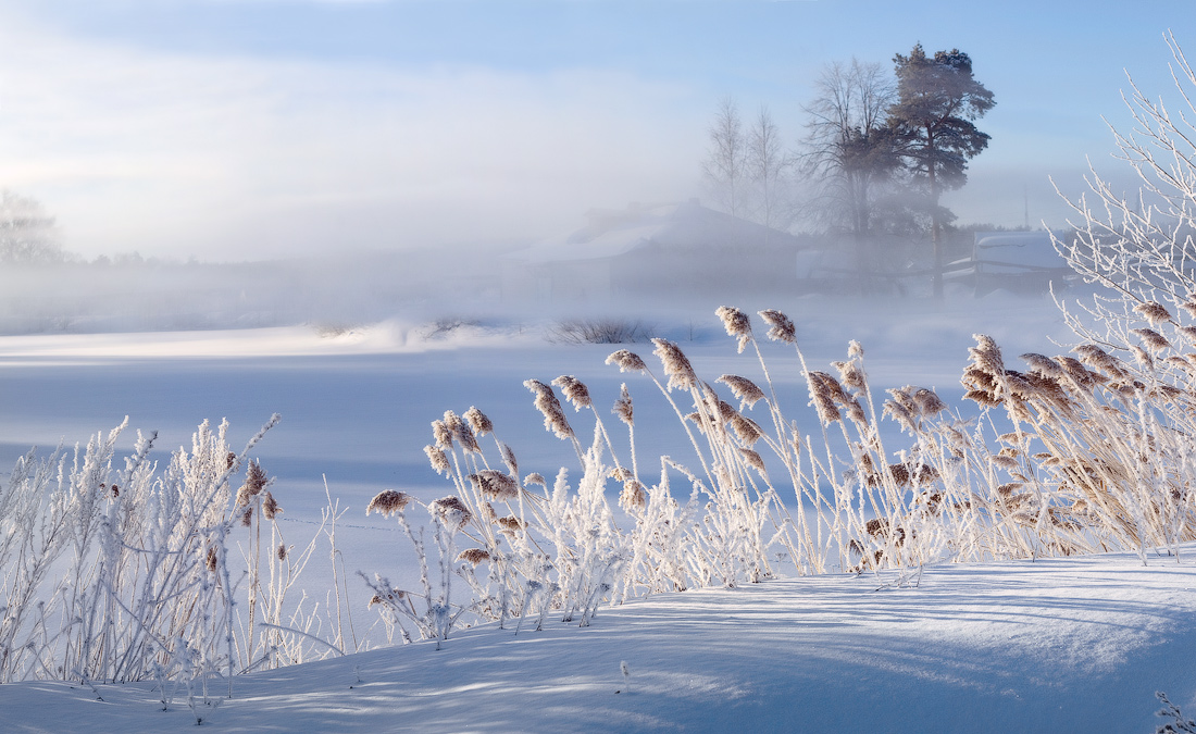 Утренняя свежесть