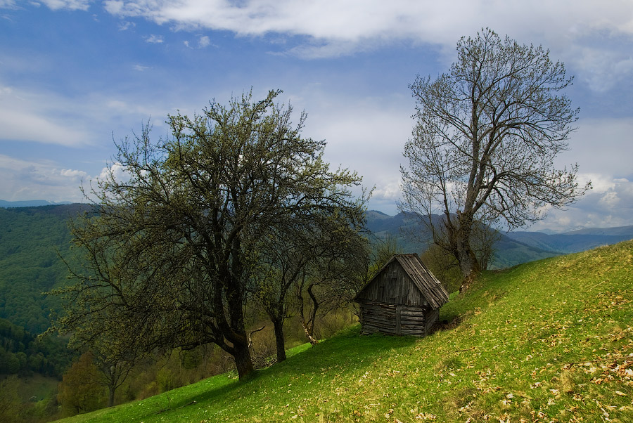 Весна... Избушка...