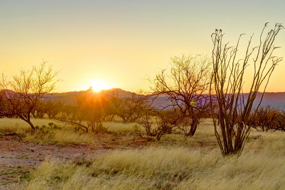 под солнцем Аризоны