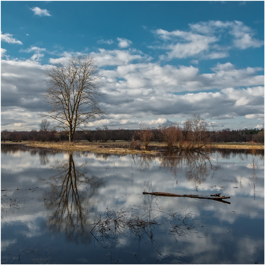 Весной навеянное настроение I