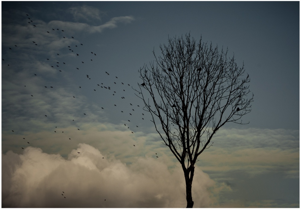 Весной навеянное настроение II