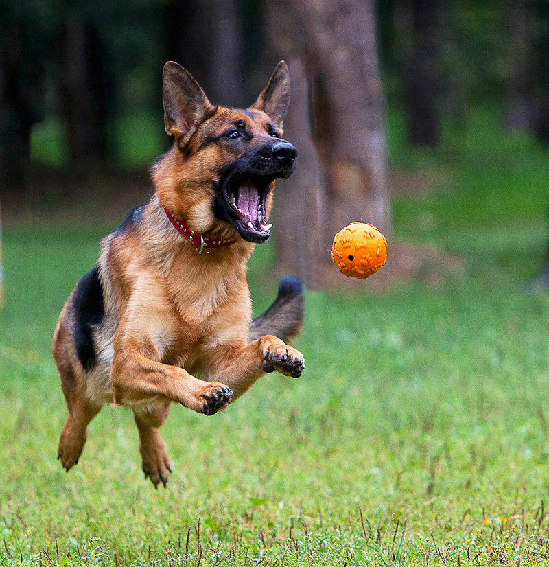 Не уйдешь ...