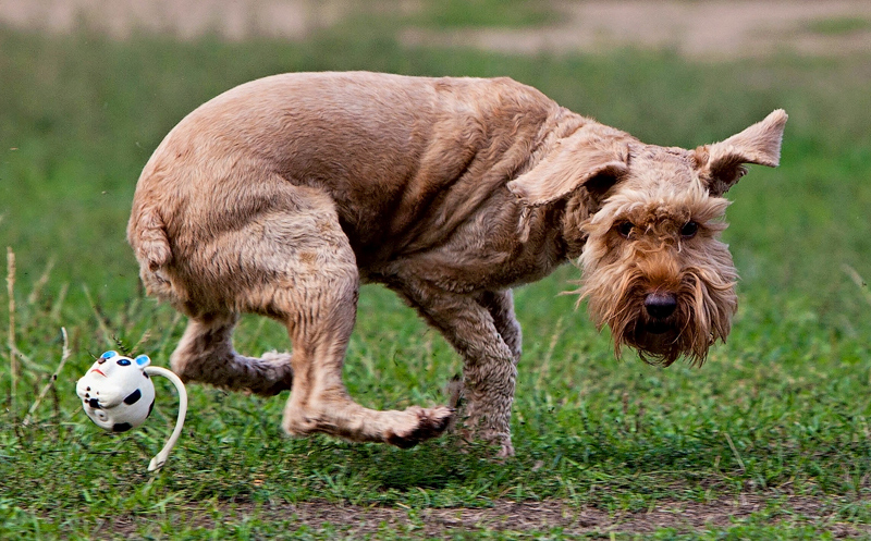 Обидно, промахнулся ...
