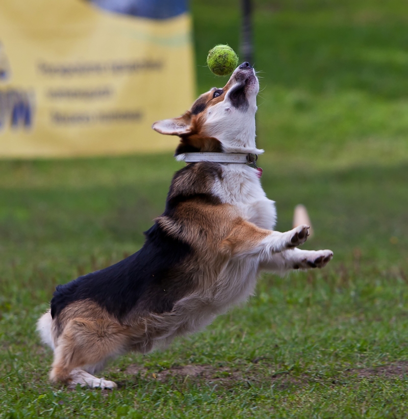 Еще бросок ...