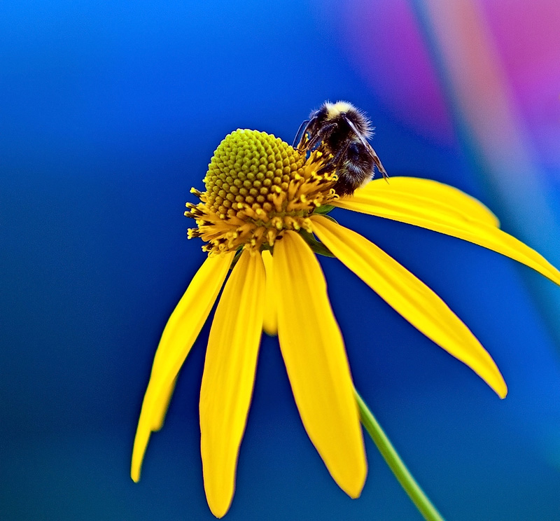 Планета Сатурн ...