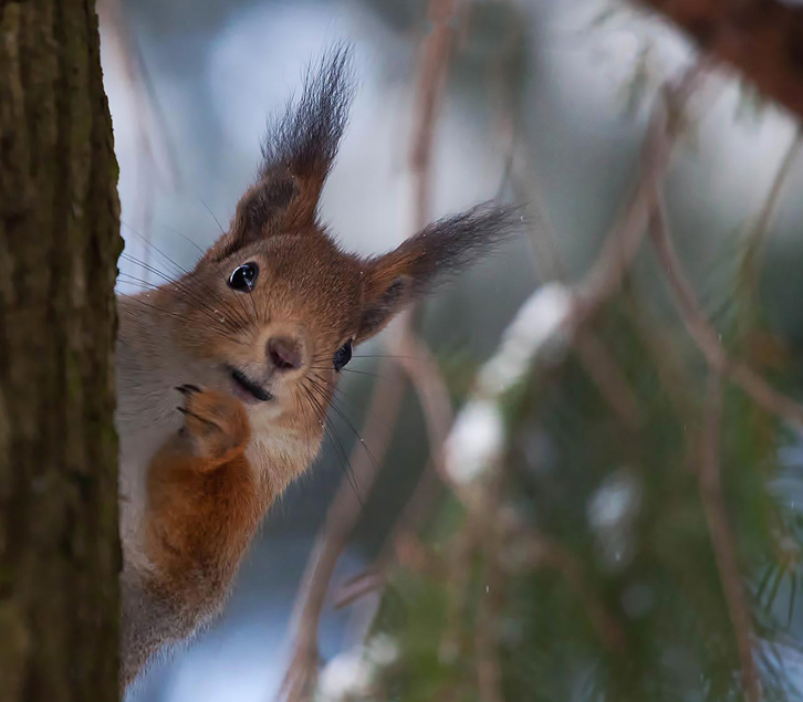 Поиграем ...