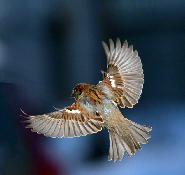 Объять необъятное