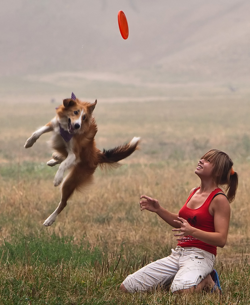 Летающая собака