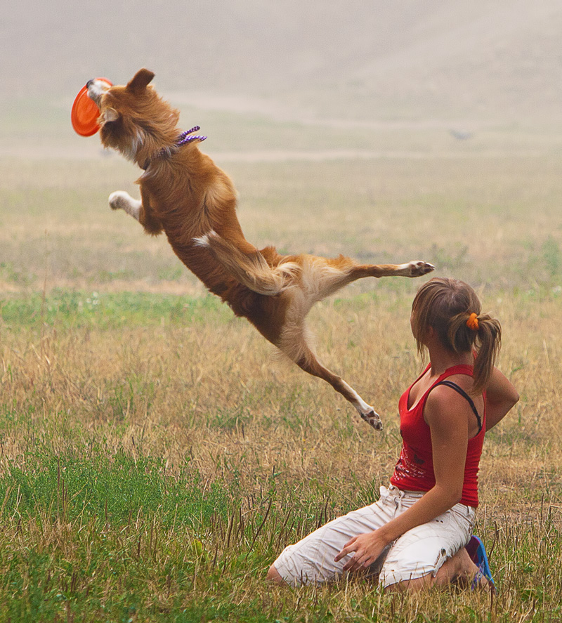 Летающая собака - 2