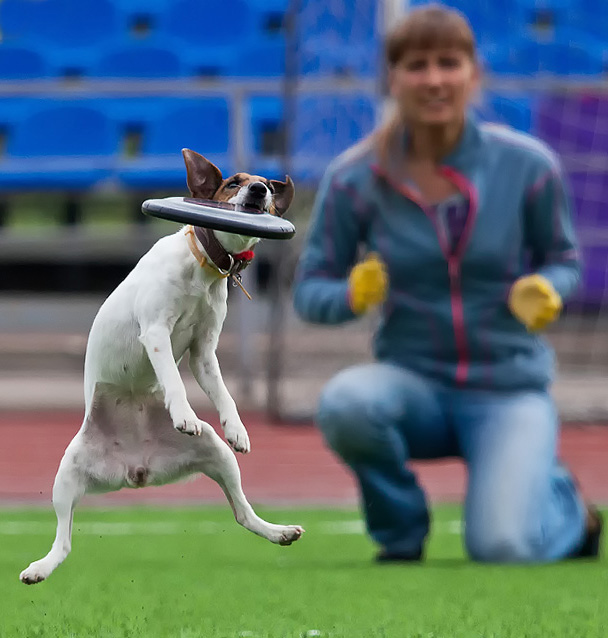 Не подвела ...