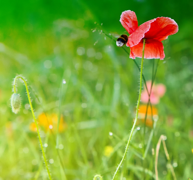 На подлете ...