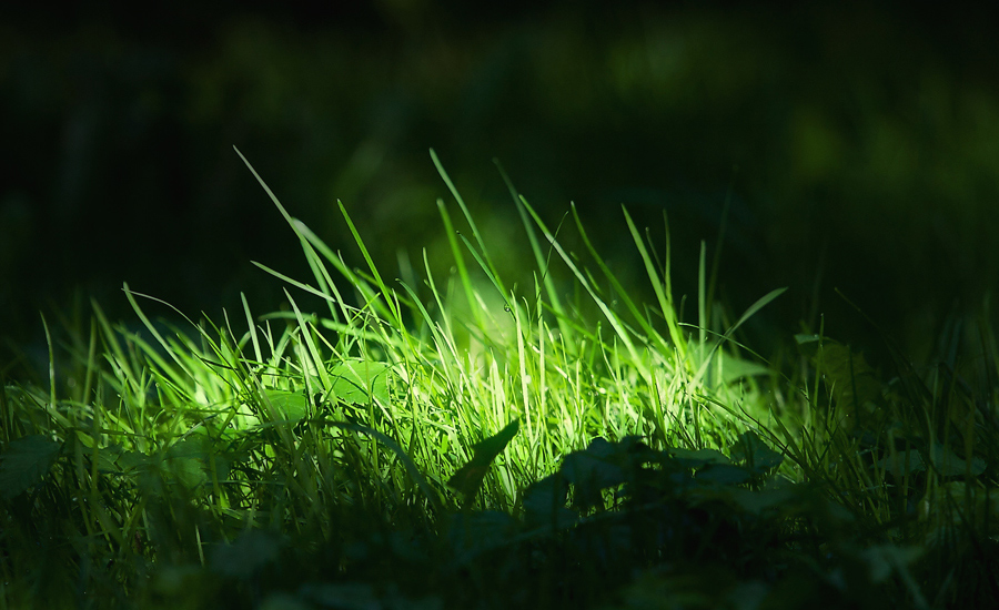 Островок ...