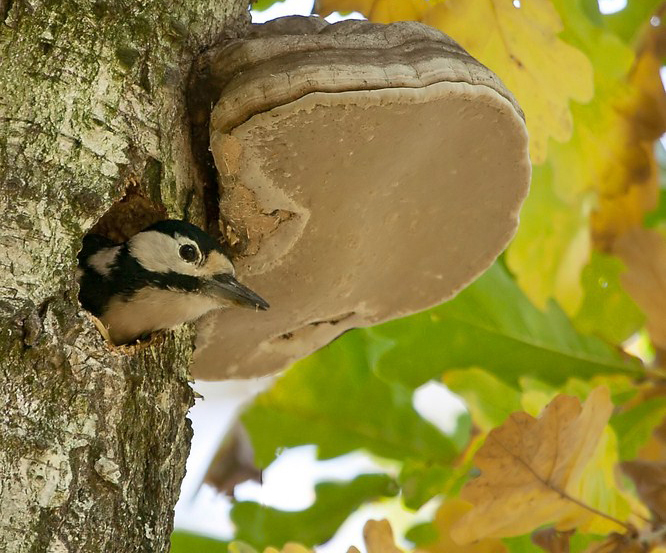 Сдам квартиру со всеми удобствами ...