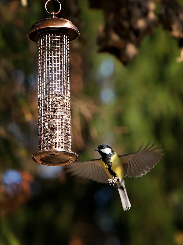 Осенний танец