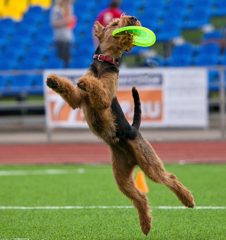 Получилось !