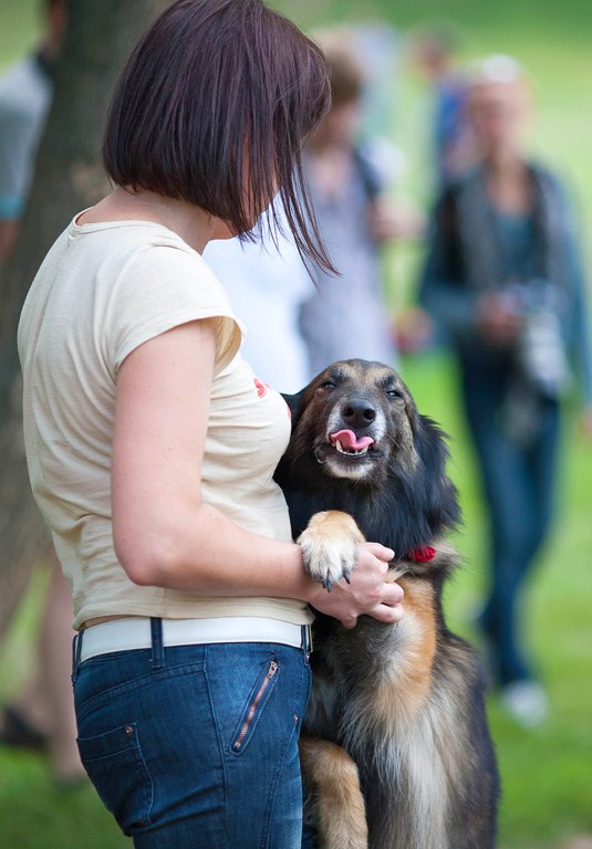 Все сложилось
