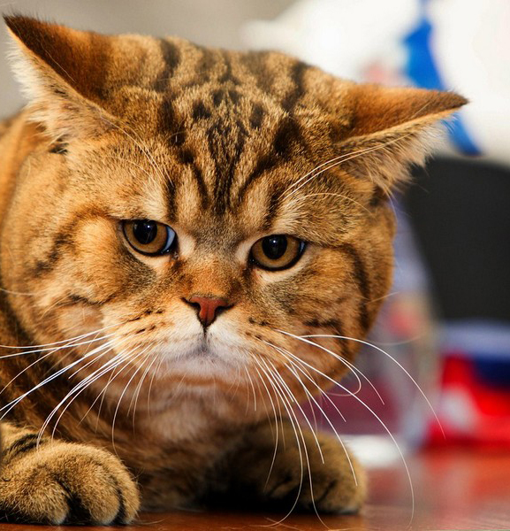 Что-то не так ...