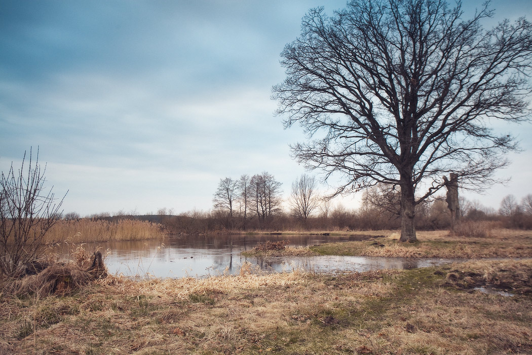 Апрельский вечер на Немане