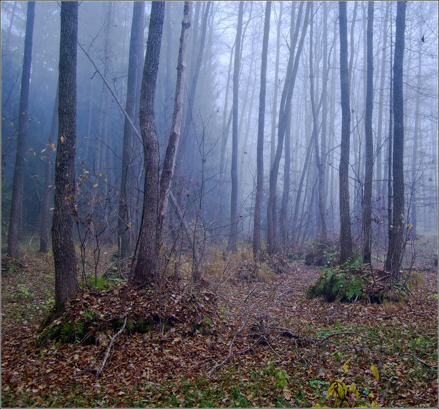 Один день...