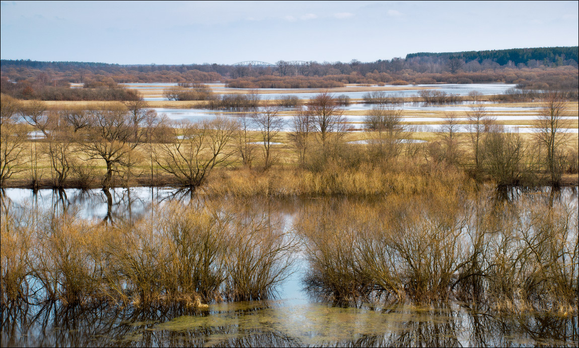 Ритмы весны