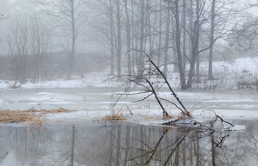 Этюд начала половодья