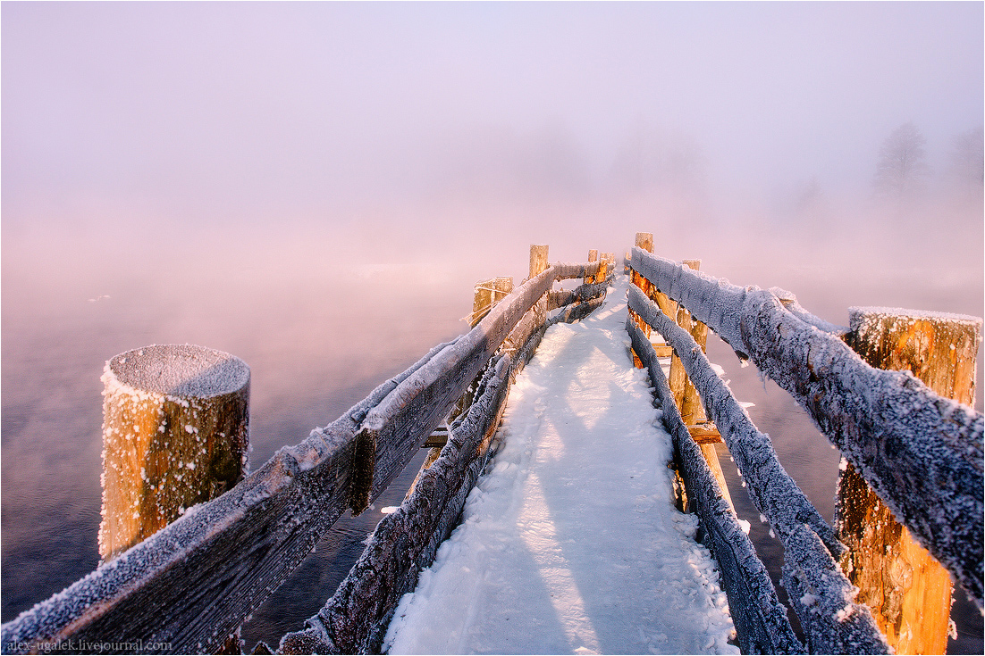 ..........Ершистое утро...........