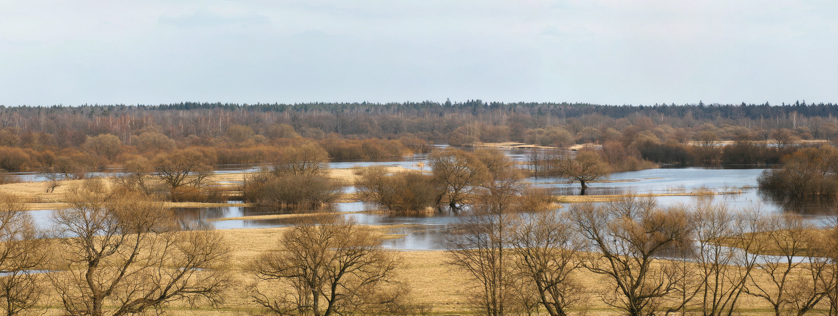 Заливные луга Березины