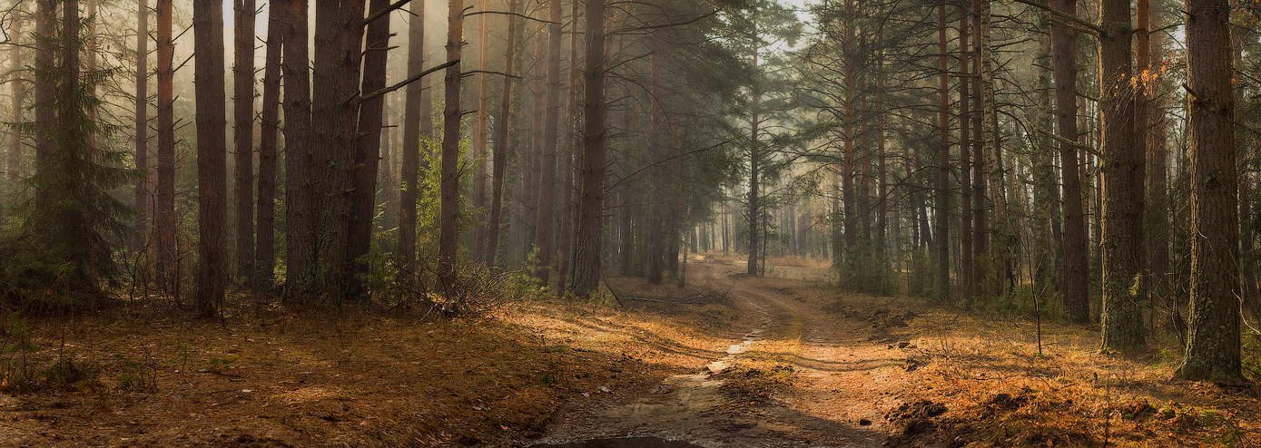 Апрельский лес