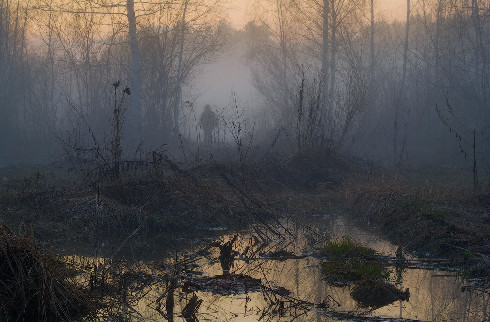 В вечернем тумане