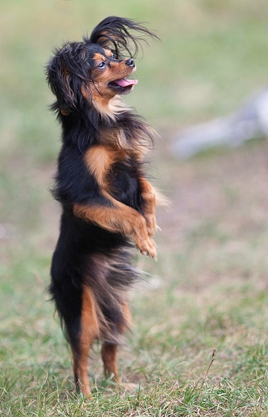 Ожидание ...